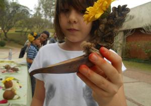 Jogando com a (nossa) natureza
