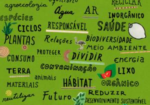 Divertido e inovador: livro infantil de não ficção