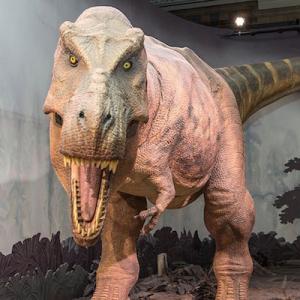 Museus virtuais para conhecer