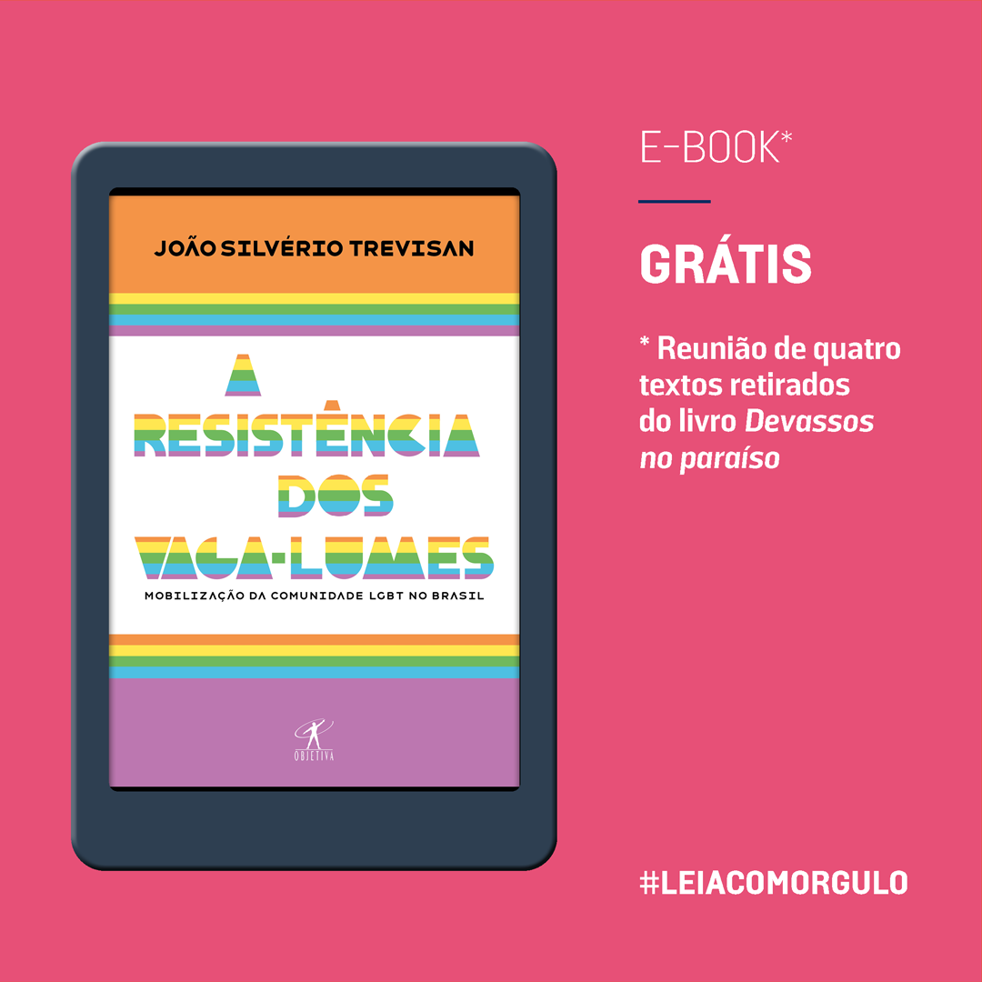 E-book grátis: A resistência dos vaga-lumes: mobilização da comunidade LGBT no Brasil