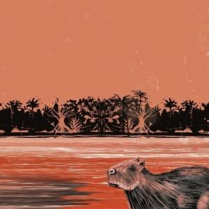 Literatura infantil indígena e meio ambiente