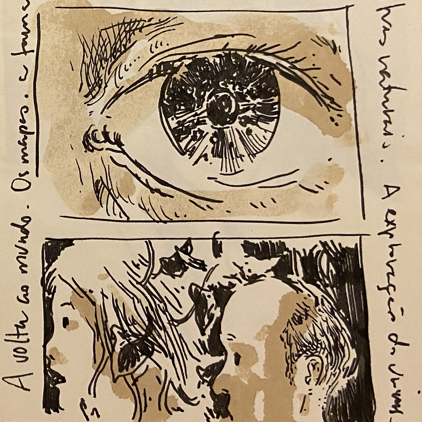 Da imagem ao texto: a contação de histórias visuais